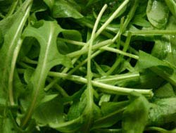 http://www.cucinaitaliana.ru/i/rucola1.jpg