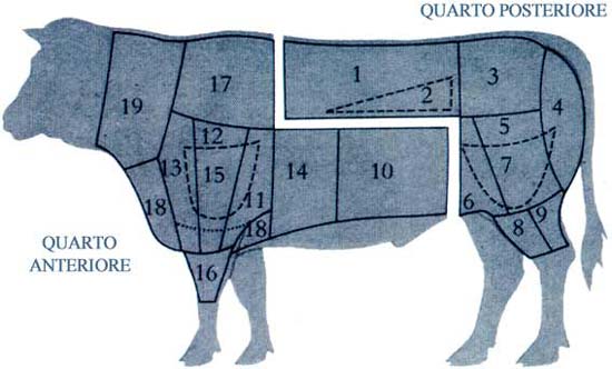 schema_bovina.jpg