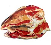 schema_bovina6.jpg